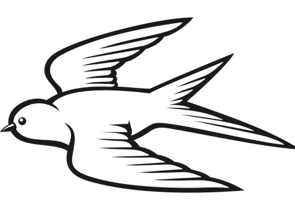 Стриж раскраска для детей