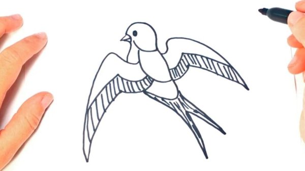 Детский рисунок стрижа