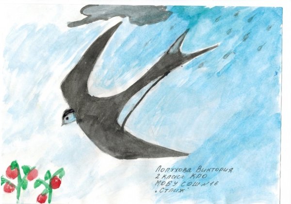 Этапы рисования ласточки