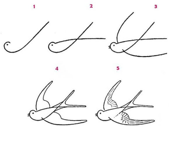 Ласточка тату эскиз