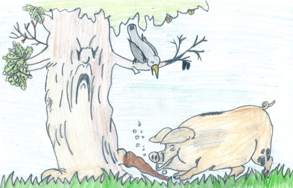 Рисунок к басне Крылова свинья под дубом