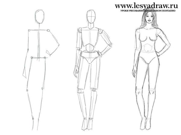 Анатомия человека рисование пропорции тела
