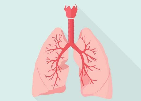 Хронический обструктивный бронхи