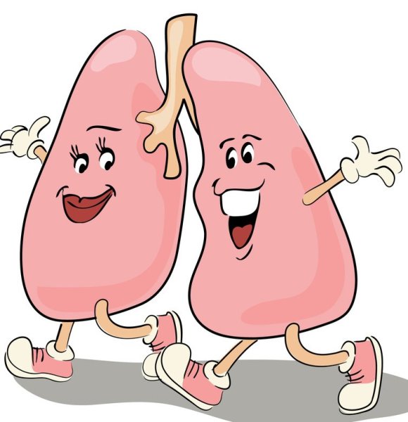 Мультяшные человеческие органы