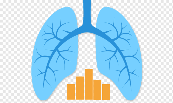 Легкие курящего человека