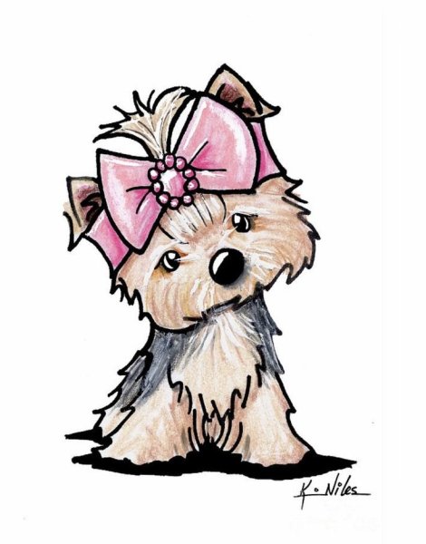 Йоркширский терьер референс