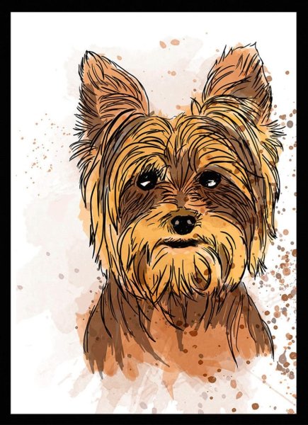 Собаки йорки черно белый