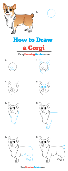 Корги рисунок пошагово
