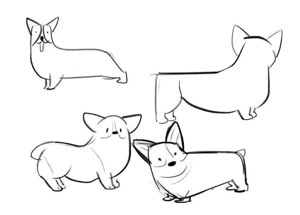 Поэтапное рисование корги