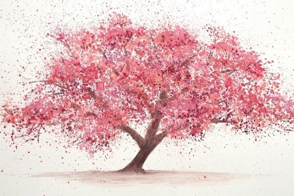 Сакура карандашом