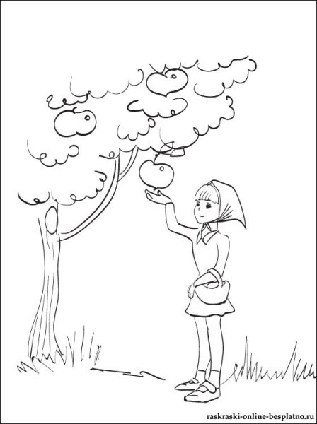 Раскраска сбор урожая