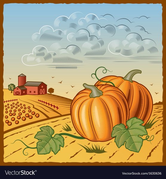 Урожай рисунок