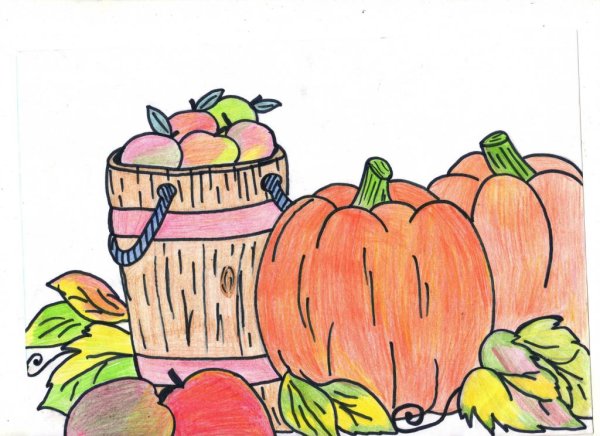 Урожай для срисовки