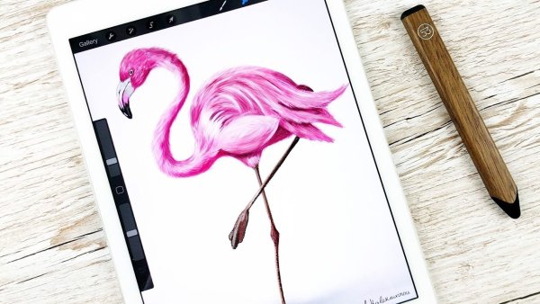 Procreate планшете IPAD