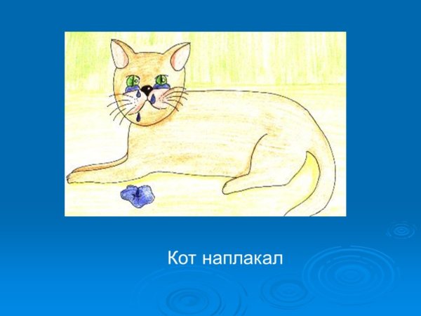 Как кот наплакал значение фразеологизма