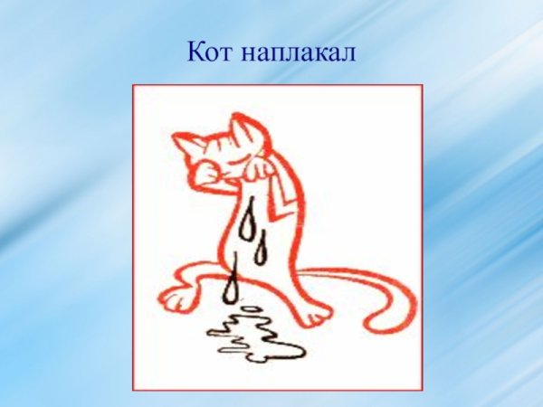 Кот заплакал фразеологизм