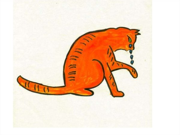 Кот наплакал фразеологизм