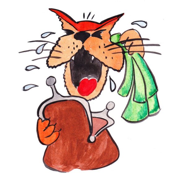 Кот наплакал иллюстрация