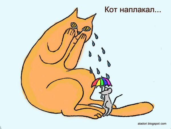 Кот наплакал