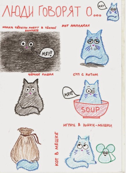 Кот наплакал фразеологизм