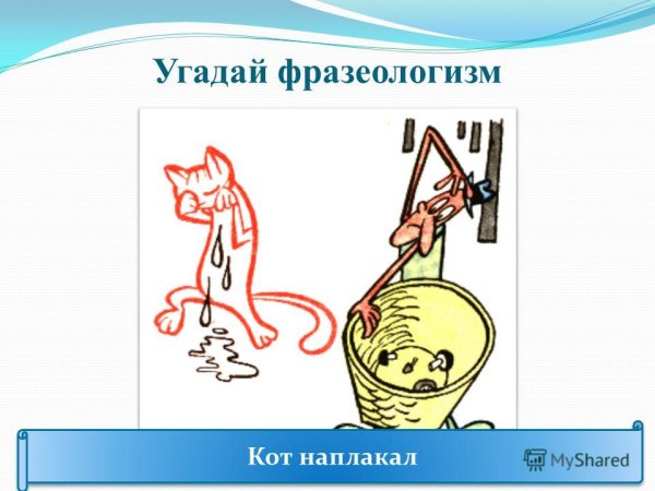 Кот наплакал