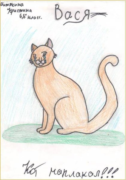 Кот наплакал