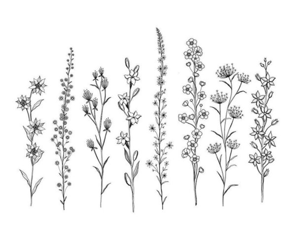 Тату полевые цветы эскизы