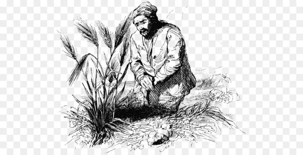 Робинзон Крузо 6 глава