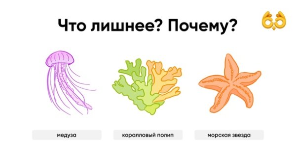 Различия кораллов медуз и гидр