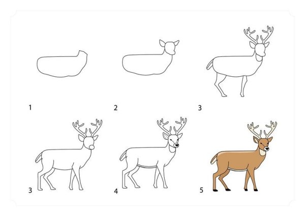 Олень рисунок карандашом для детей