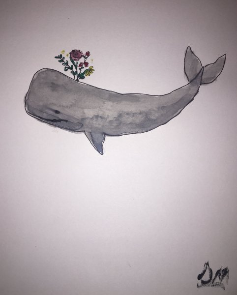 Инди КИД рисунки