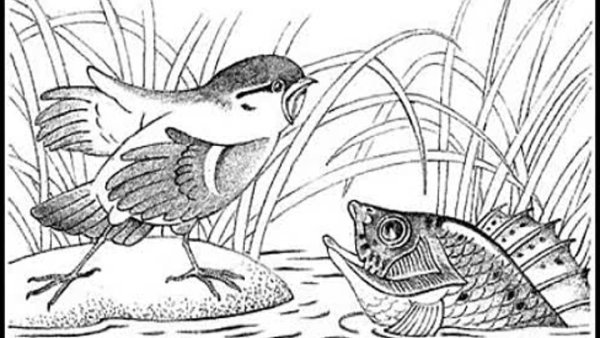 Мамин-Сибиряк сказка про храброго зайца раскраска