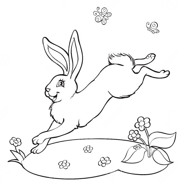 Мамин-Сибиряк Аленушкины сказки рисунки