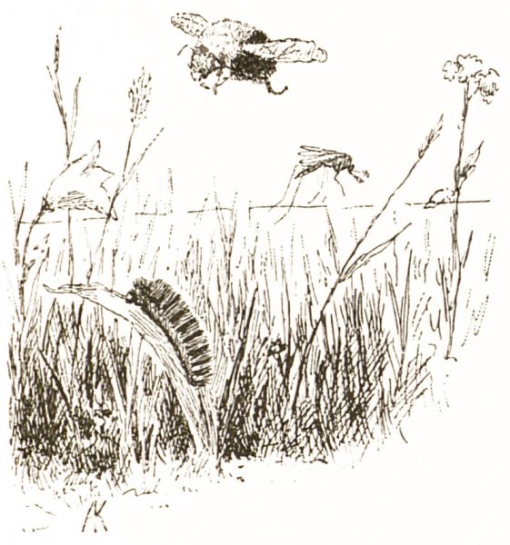 Герои Аленушкиных сказок мамин Сибиряк