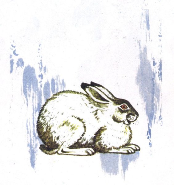 Раскраски мамин Сибиряк