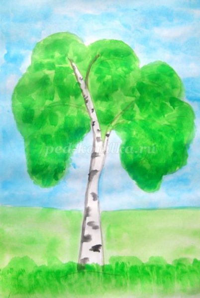 Берёза Рисорвание для детей для детей