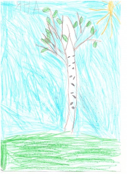 Рисунок берёзы карандашом для начинающих