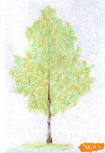 Детские рисунки березы
