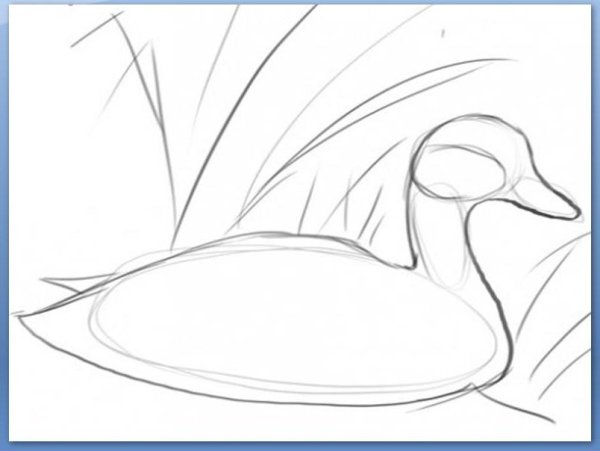 Рисование серая шейка