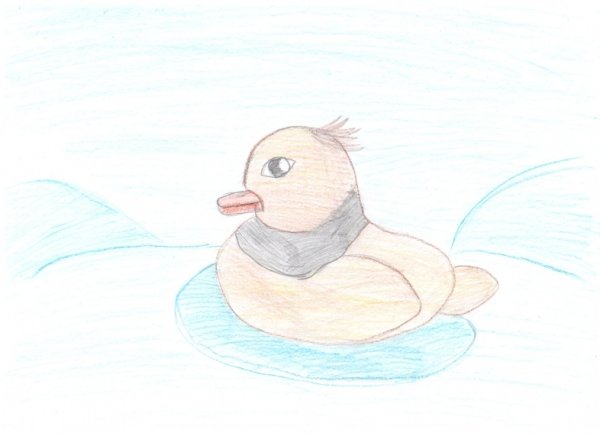 Мамин Сибиряк серая шейка рисунок легкий