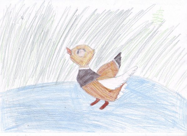 Мамин Сибиряк серая шейка иллюстрации к сказке