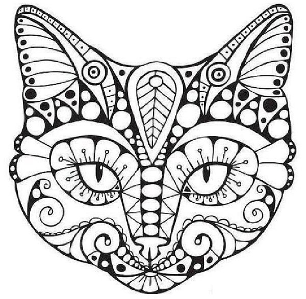 Сова раскраска