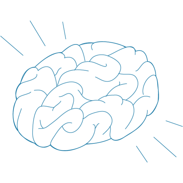 Мозг для срисовки