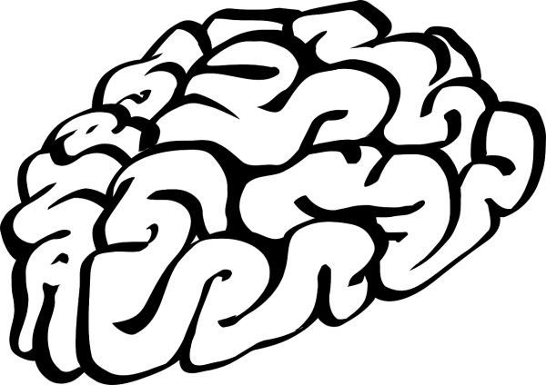 Мозг векторное изображение