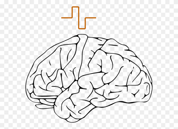 Мозги мультяшные