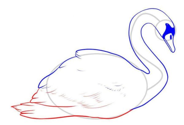Лебедь рисунок