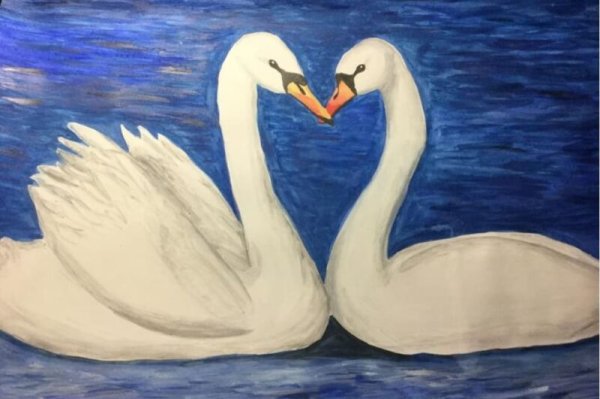 Лебедь рисунок карандашом