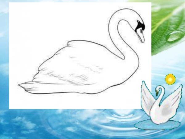 Рисунок по теме лебёдушка