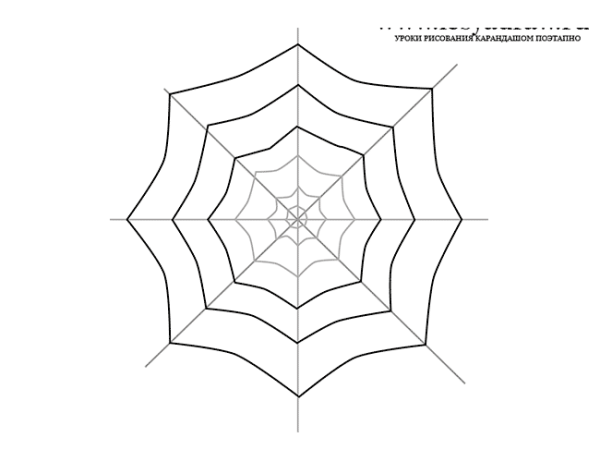 Поэтапное рисование паутины