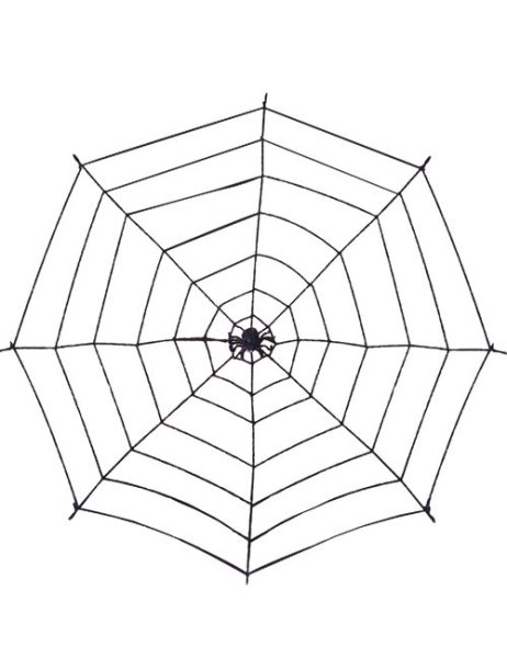 Поэтапное рисование паутины и паука